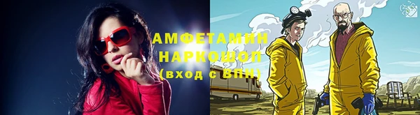 дмт Бородино