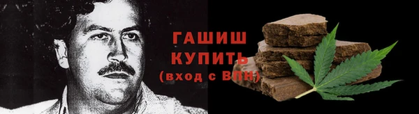 дмт Бородино