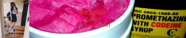 дмт Бородино