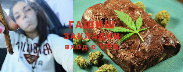 дмт Бородино