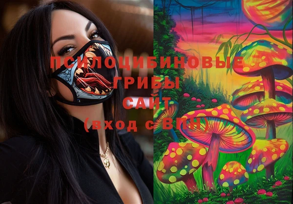 дмт Бородино