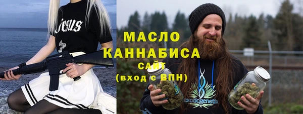 дмт Бородино