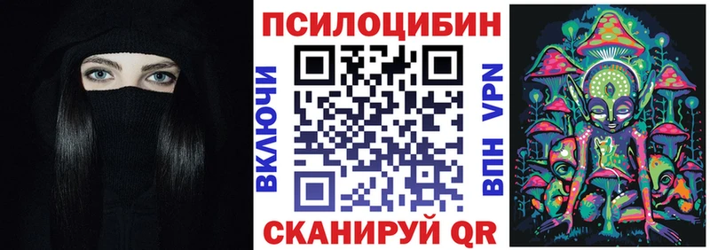 как найти наркотики  Северобайкальск  Галлюциногенные грибы Psilocybe 