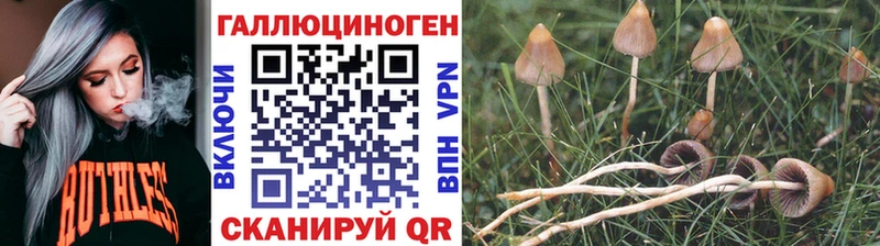 Псилоцибиновые грибы мицелий Северобайкальск